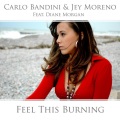Carlo Bandini - Feel This Burning (Original Mix)