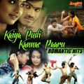 Naresh iyer、sadhana sargam - Kaiya Pudi Kanne Paaru (From 