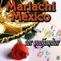 Mariachi Mexico - El Zopilote Mojado