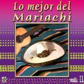 Mariachi Mexico - Mi Tierra