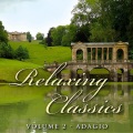 Eric Hammerstein - Adagio for Strings (Featured in 