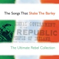 BRIER、Cormac O'Moore - The Foggy Dew