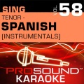 ProSound Karaoke Band - Angel (In the Style of John Secada)