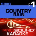 ProSound Karaoke Band - She's My Kind Of Rain (in the style of tim graw)