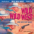 Studio Musicians - Wild Wild West