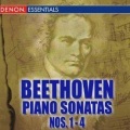 Mikuláš Škuta - Piano Sonata No. 1 In F Minor, Op. 2 I. Allegro