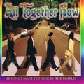 mflp band - All You Need Is Love