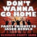 Don't Wanna Go Home (Party Tribute to Jason Derulo)