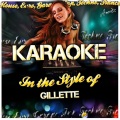 Ameritz - Karaoke - Shake Your Money Maker