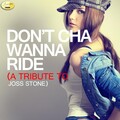 Ameritz - Tribute (阿莫瑞兹音乐) - Right to Be Wrong
