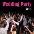 Wedding Party, Vol 1