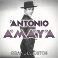 Antonio Amaya - ¡Ay, Infanta Isabel!