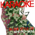 Ameritz Digital Karaoke - Day the World Went Away