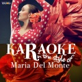 Ameritz Spanish Karaoke - María Elena (Karaoke Version)