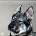 Animal Trainer - After Monday