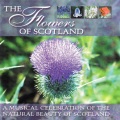 celtic spirit - The Flower Of Scotland