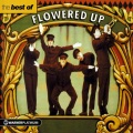 Flowered Up - It's On