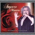 Amparo Montes - Veracruz