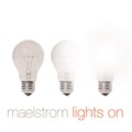 Lenny Ibizarre、Maelstrom - Wasted Youth