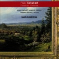 Daniel Blumenthal - Wanderer-Fantasie, D. 760: I. Allegro con fuoco ma non troppo