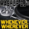 Mashup DJ's - Whenever, Wherever (Re-Mix Tool)