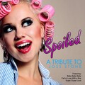 Ameritz Tribute Club - Right to Be Wrong