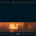 Van Morrison - Have I Told You Lately