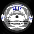Ambassadors Of Funk - Another Side of You in Paris