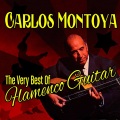 The Very Best of Flamenco Guitar