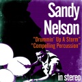 Sandy Nelson - Jump Time