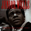 junior wells - Blues for Mayor Daley