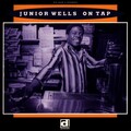 junior wells - What My Momma Told Me