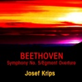 josef krips、the london symphony orchestra - Symphony No. 5 In C Minor, Op. 67: Second Movement (feat. The London Symphony Orchestra)
