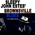 sleepy john estes - Working Man Blues