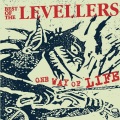 the levellers - Just the One
