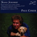 Paul Coker - Piano Sonata in G Major, Op. 78, D. 894: Fantasie. Molto moderato e cantabile