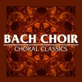 Jacques Orchestra、Bach Choir - Hear My Prayer (feat. Jacques Orchestra)