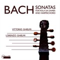 lorenzo ghielmi、Vittorio Ghielmi - Sonata for viola da gamba in D Major, BWV 1028: I. Adagio