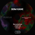 Dom Kane - Revolution