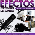 Sounds Effects Wav Files Studio - Ambiente de Interior con Pájaros y Obra de Albañilería de Fondo