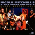 Nicole Mitchell - Sun Cycles