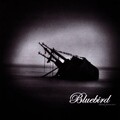 Bluebird - Future burn