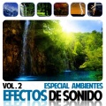 Sounds Effects Wav Files Studio - Bosque