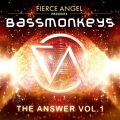 Bassmonkeys - The Answer