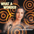 What A Wonder