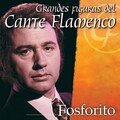 Fosforito - A pesar de tu maldad