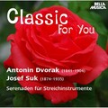 Slowakisches Kammerorchester - Serenade für Streichinstrumente in E Major, Op.22: I. Moderato
