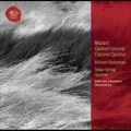 Richard Stoltzman - Clarinet Quintet, K.581, in A: Larghetto