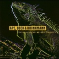 APE - Trotzdem weiter