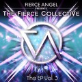 Fierce Collective - Where I Stood